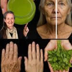 Descubre el Secreto Natural de Rejuvenecimiento: Jugo de Apio para Una Piel Radiante