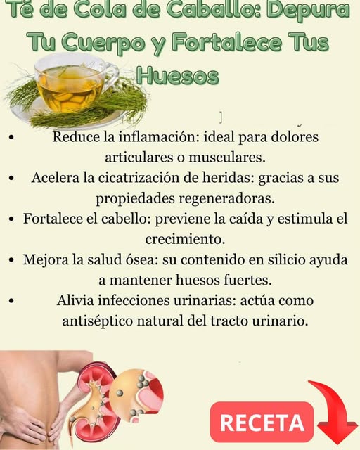 Infusión de cola de caballo y sistema urinario