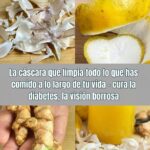 Beneficios de las Cáscaras Naturales para la Salud Integral