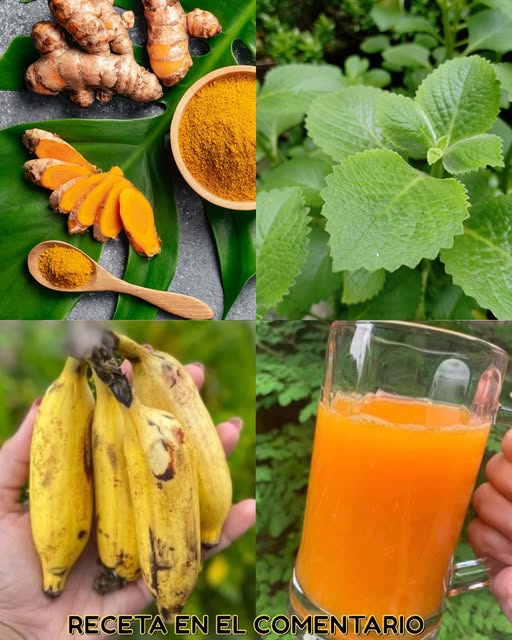 Ingredientes para bebida saludable