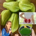 Chayote: El Remedio Natural que Transformará Tu Salud