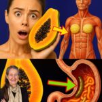 Las Semillas de Papaya: Cómo Pueden Eliminar 10 Problemas de Salud Comunes