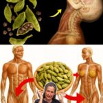 ¿Qué le sucede a tu cuerpo cuando agregas cardamomo a tu comida todos los días?
