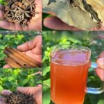 Beneficios de Infusiones Naturales para la Salud: Combate la Hinchazón y Fortalece Tu Inmunidad