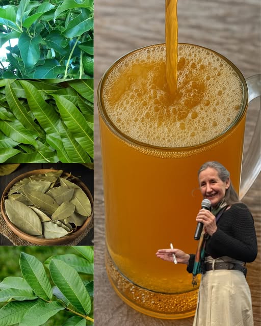 Hojas Medicinales para la Salud