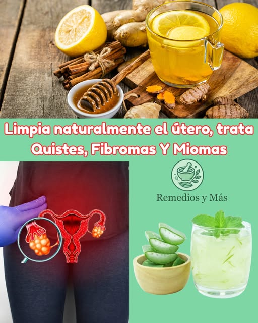 Remedios Naturales para el Útero