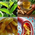 Descubre los Mejores Tés Naturales para Comenzar tu Día y Relajarte por la Noche