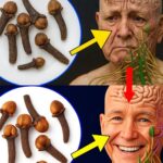 Transforma tu Salud Después de los 50: Ajo y Clavos de Olor como Remedios Naturales