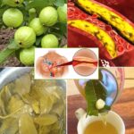 Descubre el Poder de las Infusiones: El Mejor Té para la Mañana y la Noche