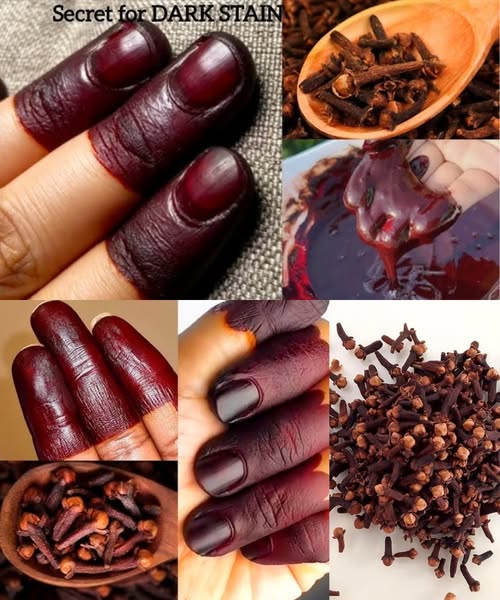 Imagen de clavos de olor y henna