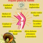 Té de Laurel en Ayunas: Un Regalo para Tu Salud