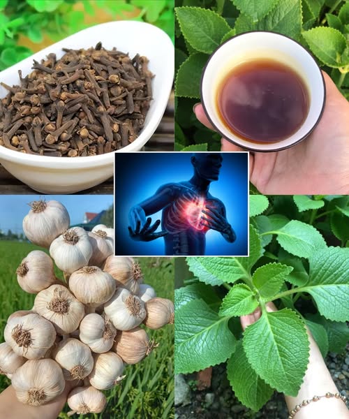 Remedios naturales para limpiar las arterias