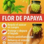 Descubre los 15 Beneficios de las Flores de Papaya: ¡Una Maravilla Natural!