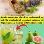 Una Bebida, Muchos Beneficios: Controla Diabetes, Colesterol, Artritis y Más