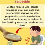 Beneficios del Aloe Vera: Desintoxica y Mejora Tu Salud Digestiva