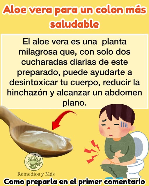 Aloe Vera y salud digestiva