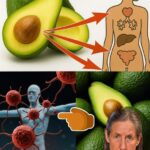 El Poder Oculto de los Aguacates: 5 Beneficios Sorprendentes que Pueden Prevenir el Cáncer