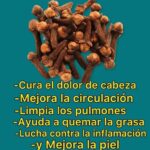 Los Poderes del Clavo de Olor: Beneficios para tu Salud
