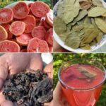 La Fruta Mágica: Beneficios de la Guayaba y el Hibisco para la Salud