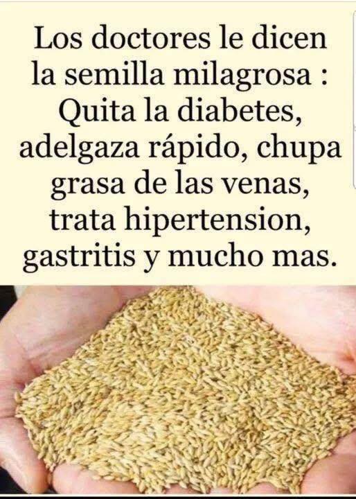 Semilla Milagrosa