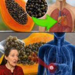 Mastica 4 Semillas de Papaya al Día y Descubre sus Poderes para tu Salud