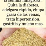 La Semilla Milagrosa de Alpiste: Remedio Natural para la Salud