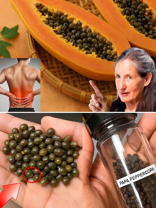 Semillas de papaya