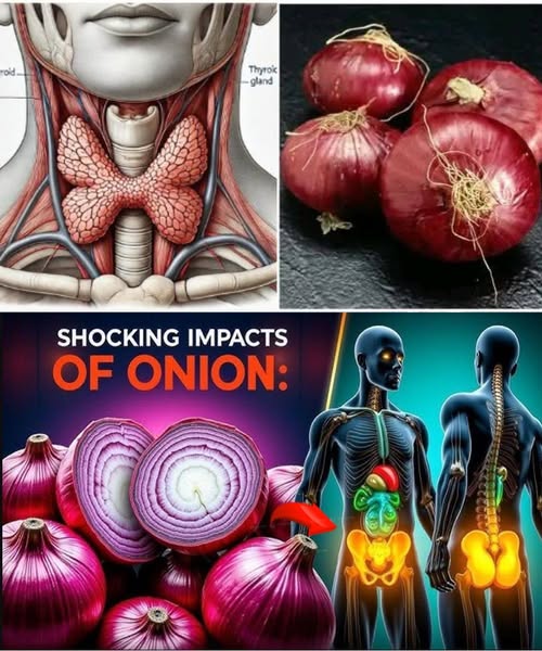 Beneficios de las cebollas para la salud