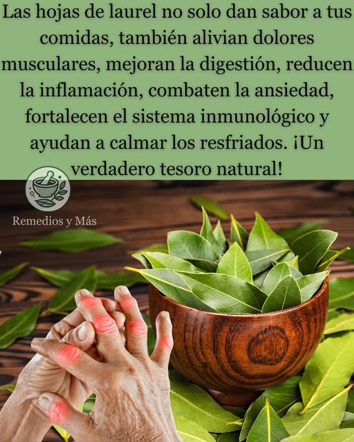 Cuenco con hojas de laurel