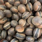 Descubre el Poder de la Nuez Moscada: Un Remedio Natural contra el Cáncer