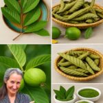 Descubre los Increíbles Usos de las Hojas de Guayaba: Beneficios para la Salud y Recetas Sorprendentes