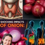 Los Sorprendentes Beneficios para la Salud de las Cebollas: Más Allá de un Simple Ingrediente de Cocina