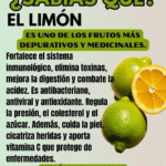 Receta Mágica para Adelgazar de Forma Natural