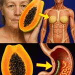 ¡Descubre cómo las semillas de papaya pueden curar 10 problemas de salud comunes!