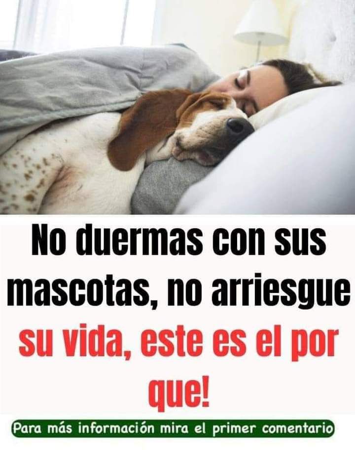 Persona durmiendo con su perro