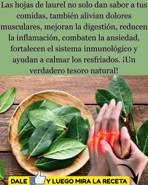 Beneficios de las Hojas de Laurel