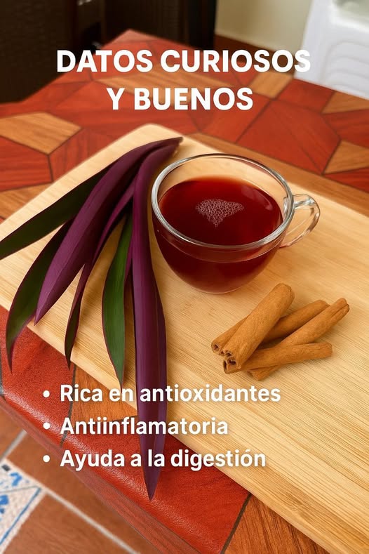 Té de Maguey Morado y Canela
