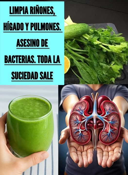 Ingredientes para Jugos Verdes