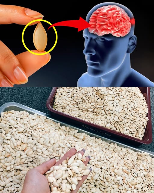 Semillas de Calabaza