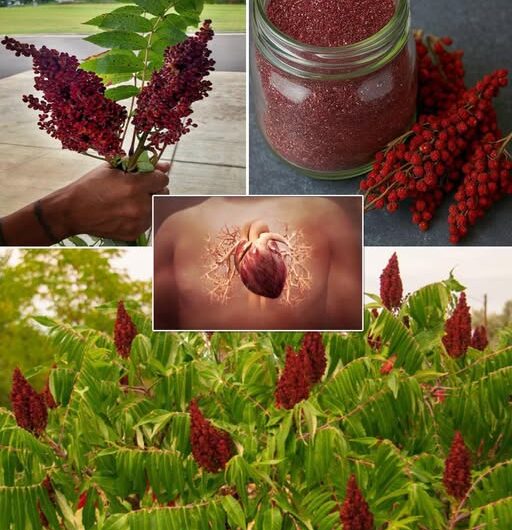 Descubre el Poder del Zumaque: Beneficios para la Salud y Uso Culinario