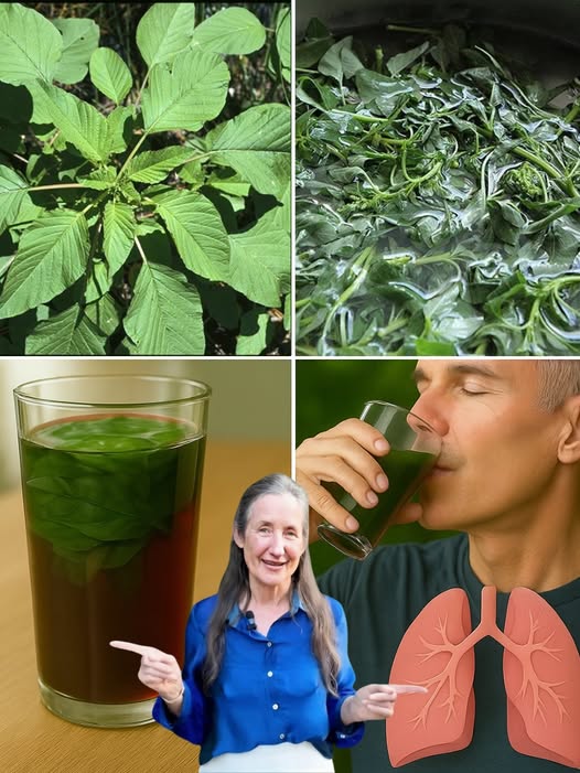 Infusión de hierbas medicinales