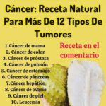 Guanabana: Un Poderoso Remedio Natural Contra el Cáncer
