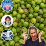13 Formas de Usar el Physalis (Goldenberry) para Tratar Diversas Dolencias