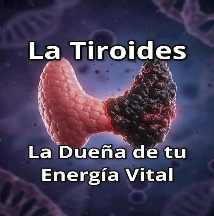 La Tiroides: La Dueña de tu Energía Vital