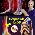 Mejora tu Circulación: Vitamina Clave y 15 Alimentos Naturales Después de los 40