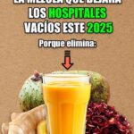 La Mezcla Saludable que Promete Vaciar los Hospitales en 2025