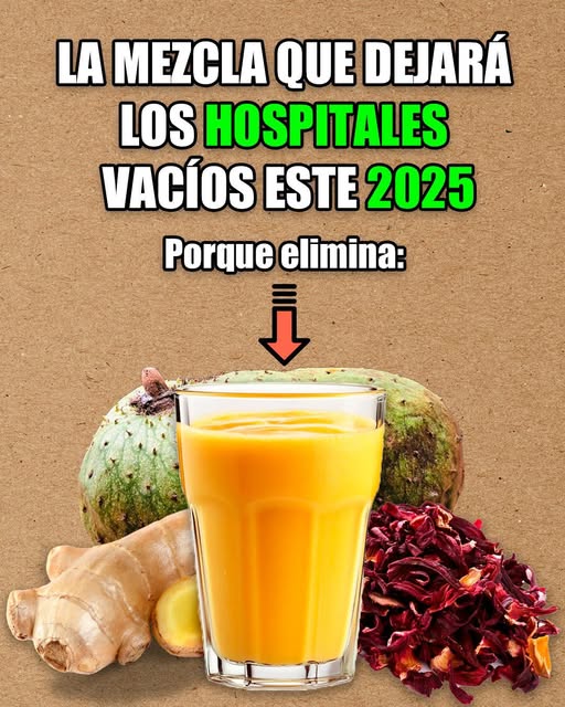 Jugo de Jengibre, Guanábana y Hibisco