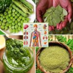El Árbol Milagroso: 6 Beneficios de la Moringa y Cómo Usarla