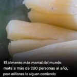 Yuca: Deliciosa, Nutritiva y Peligrosa Si No Se Prepara Bien