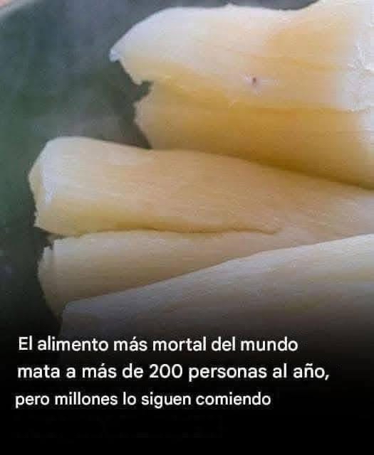 Trozos de yuca